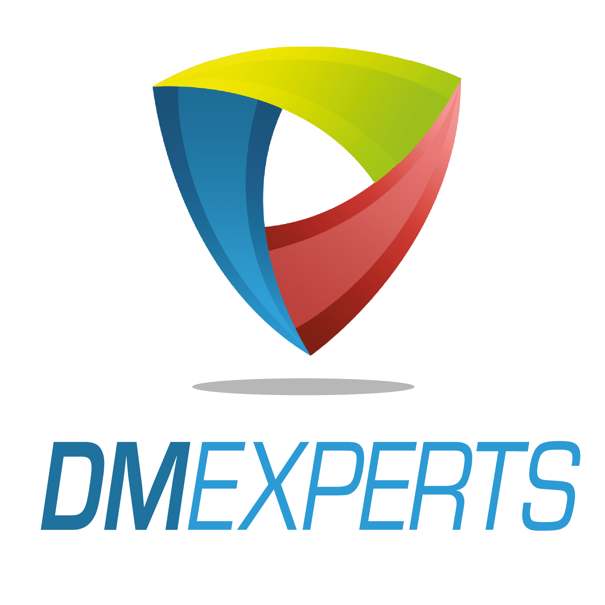 Logo de la société DM Experts